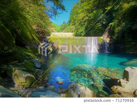 Niyodo Blue spreading in front of the Sabo Dam in the Yasui Valley, Kochi Prefecture 71270916