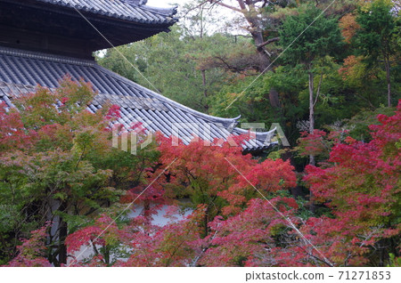 秋天的法富寺 秋天的法富寺 71271853