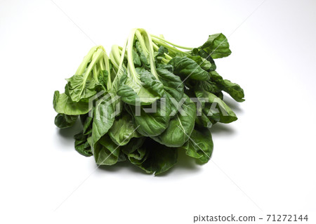 Tarsai on white background Tarsai on white background 71272144