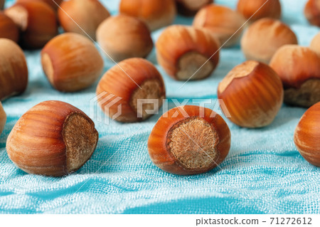 Whole unpeeled hazelnuts scattered on a turquoise textile background. 71272612