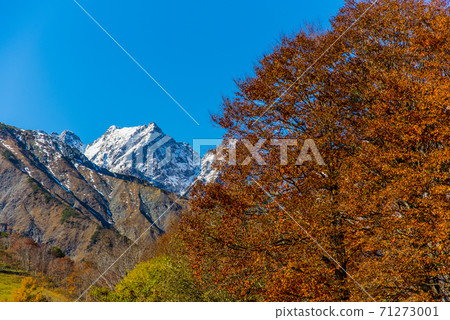 秋葉和不回墾 71273001