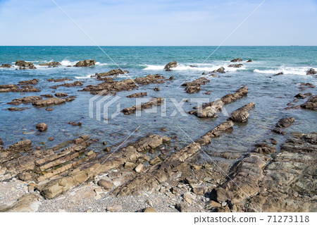 [Hitachinaka City Hiraiso Middle Ages Cretaceous Layer] 71273118