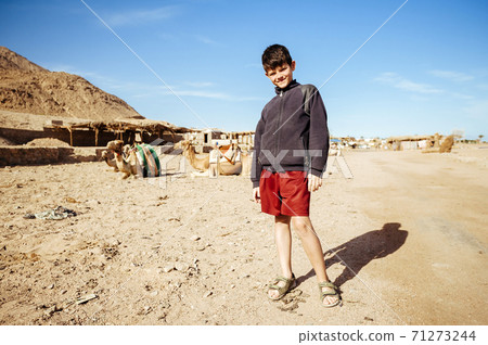 Young boy at the age of 9 have to work with camels in the tourist industry. Sharm El Sheikh, Egypt Young boy at the age of 9 have to work with camels in the tourist industry. Sharm El Sheikh, Egypt 71273244