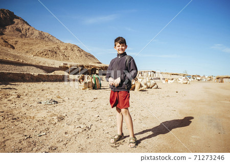 Young boy at the age of 9 have to work with camels in the tourist industry. Sharm El Sheikh, Egypt Young boy at the age of 9 have to work with camels in the tourist industry. Sharm El Sheikh, Egypt 71273246