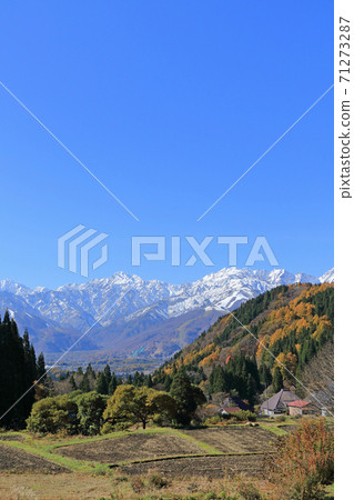 白馬青木在深秋,從田田看北阿爾卑斯山 白馬青木在深秋,從田田看北阿爾卑斯山 71273287