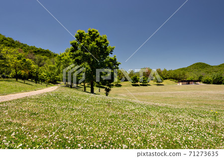兵庫縣三田市有馬富士公園大型草坪廣場 71273635