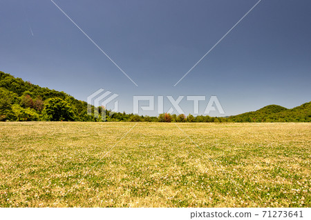 Arimafuji Park Large Lawn Square in Sanda City, Hyogo Prefecture 71273641