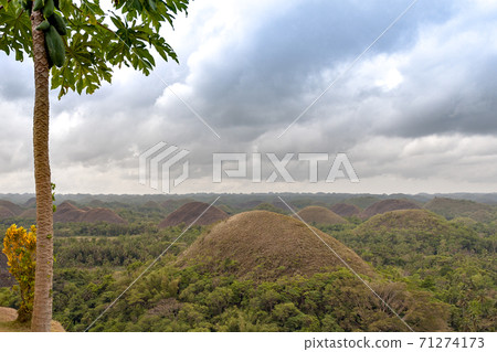 Chocolate Hills on Bohol Island, Philippines Chocolate Hills on Bohol Island, Philippines 71274173