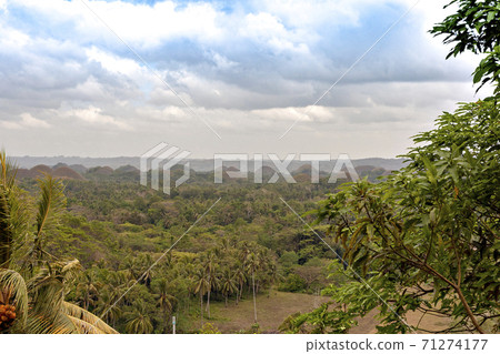 Chocolate Hills on Bohol Island, Philippines Chocolate Hills on Bohol Island, Philippines 71274177