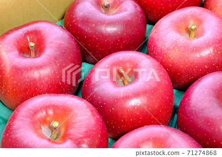 蘋果（apple / apple）：信濃啤酒 71274868