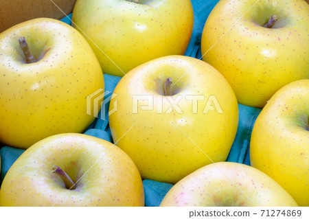 Yellow apple (apple / apple): Shinano gold Yellow apple (apple / apple): Shinano gold 71274869