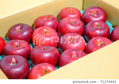Apple (apple / apple): Shinano Hoppe Apple (apple / apple): Shinano Hoppe 71274942