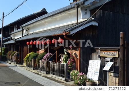 Chrysanthemum and Municipal Hirakata Yado Kagiya Museum 71275222