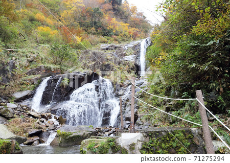 佛禪寺瀑布(福井縣大野市) 佛禪寺瀑布(福井縣大野市) 71275294