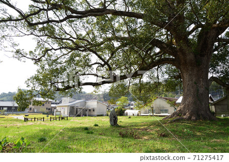 "Kiki no Michi" Muto room 71275417