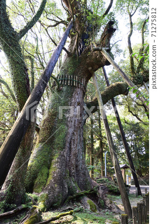 十滿神社的妻子 71275812