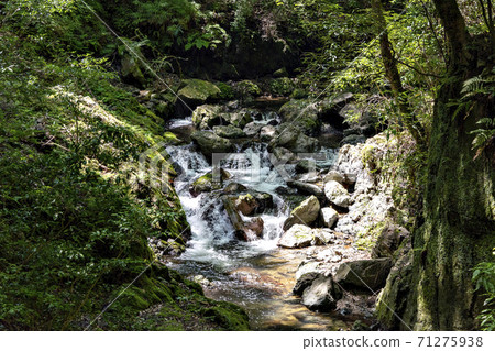 Summer hike to Minoo Falls in Osaka 71275938
