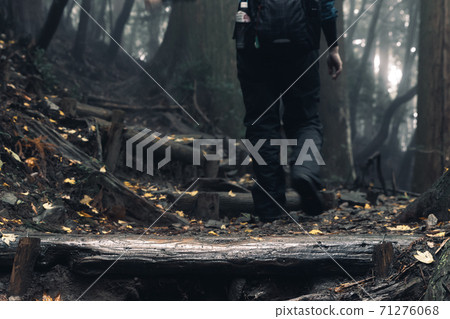 在多雨的樹台階上行走的登山者的雙腿 71276068