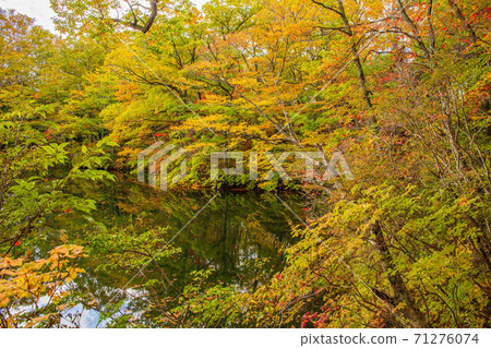 Autumn in the Shirakami Mountains, a World Heritage Site, Lake of Juni, Oike 71276074