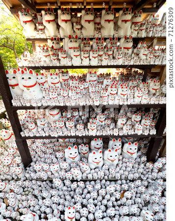 Maneki Neko of Gotokuji, Tokyo Maneki Neko of Gotokuji, Tokyo 71276309