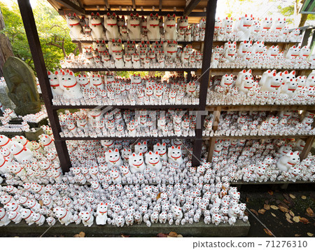 Maneki Neko of Gotokuji, Tokyo 71276310