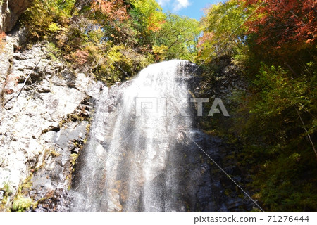 清y的gu口 71276444