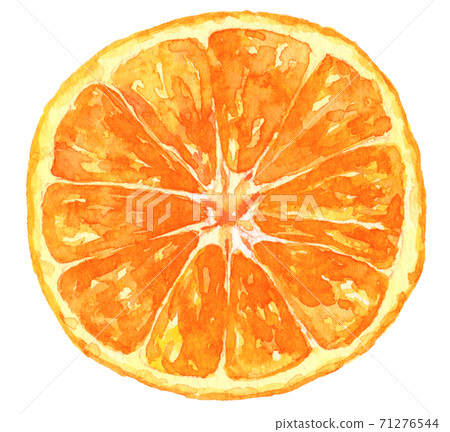 水彩切片的mikan 71276544