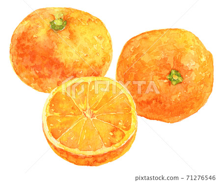 三水彩mikan 71276546