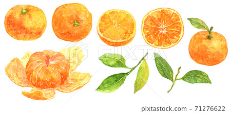 Watercolor orange material 71276622