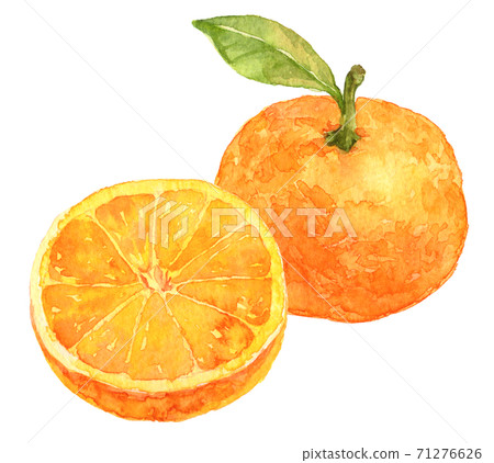 用水彩葉子和切片的mikan的mikan 71276626