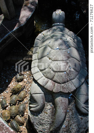 Kyoto Amanohashidate Kago Shrine Turtle Kyoto Amanohashidate Kago Shrine Turtle 71276627
