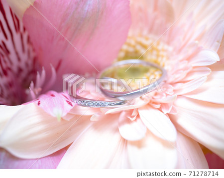 wedding ring wedding ring 71278714