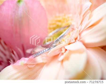 結婚戒指 71278715