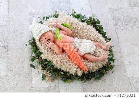 Cute baby newborn photo / newborn photo 15 days after birth 71279321
