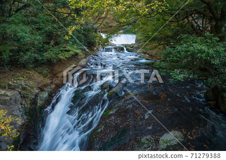 Autumn pattern of clear stream Kikuchi Gorge Autumn pattern of clear stream Kikuchi Gorge 71279388