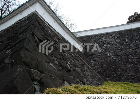 Kofu Castle Kofu Castle 71279576