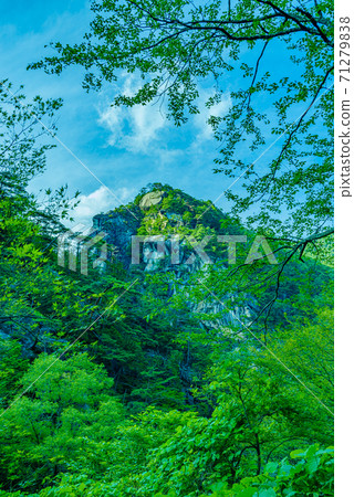 Shinko峽谷的新鮮綠色 Shinko峽谷的新鮮綠色 71279838