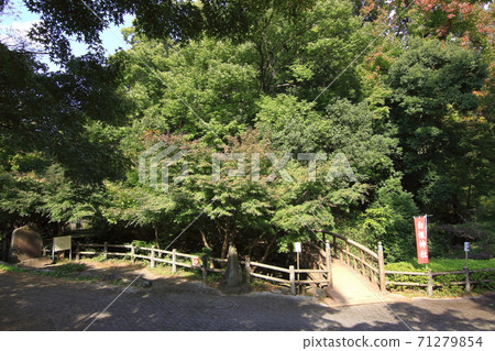 Shirane Park Shiraito Falls Asahi Ward, Yokohama City 71279854