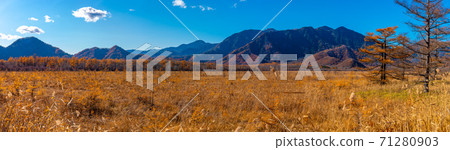 Nikko Senjogahara 71280903