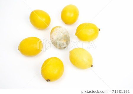 Rotten lemon next to fresh lemons on a white background 71281151