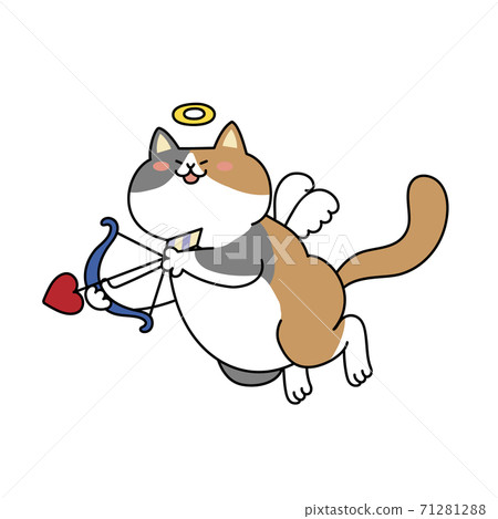 Cupid cat Cupid cat 71281288