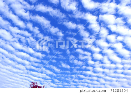 Autumn scale cloud wavy cloud 71281304