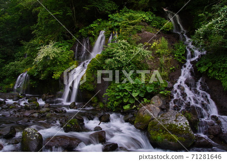 Midsummer "Doryu Falls" 71281646