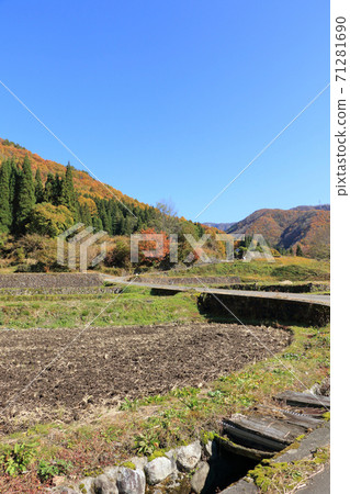 白馬村千代深秋田田 白馬村千代深秋田田 71281690