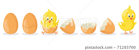 Cartoon hatched easter egg. Cracked chicken eggs with cute chicken mascot, newborn baby chick bird hatching from egg vector illustration set Cartoon hatched easter egg. Cracked chicken eggs with cute chicken mascot, newborn baby chick bird hatching from egg vector illustration set 71283700