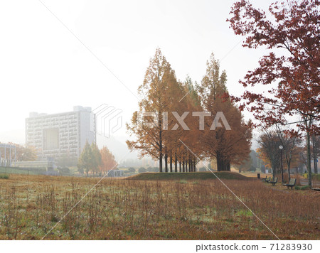 Koto Plaza, the city of Harima Science Park in autumn colors Koto Plaza, the city of Harima Science Park in autumn colors 71283930