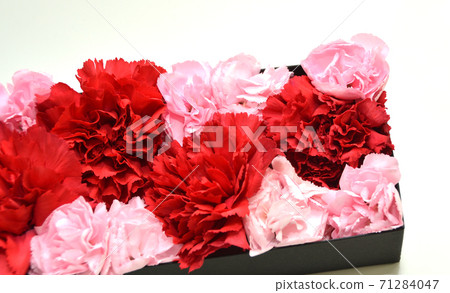 Carnation box flower, Mother's Day image, gift 71284047
