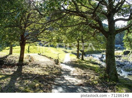 Alley along the river in autumn Alley along the river in autumn 71286149