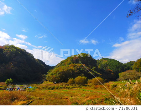 橫濱市秋露野市秋里山 71286331