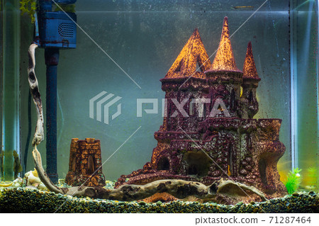 Empty aquarium without plants, affected by black algae and plaque on the scenery 71287464